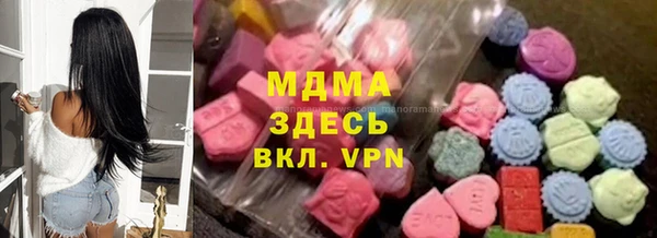 прущие грибы Михайлов