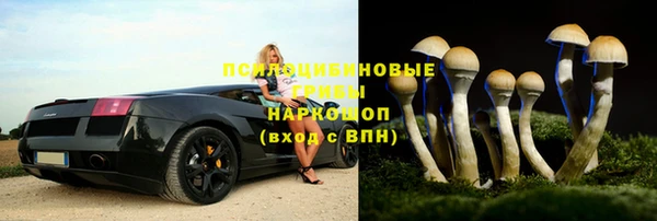 прущий лед Нефтекумск