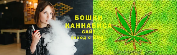 ГАЛЛЮЦИНОГЕННЫЕ ГРИБЫ Надым