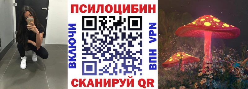 Псилоцибиновые грибы Cubensis  где найти   Опочка 